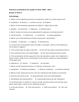 Entrance 4.docx
